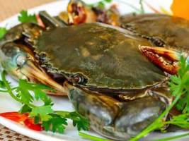 Nhà hàng hải sản Tiếng Xưa