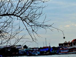 Mỹ Tho - Tiền Giang - 2 days