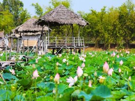 Đồng Tháp - 2 days