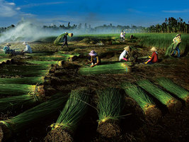 Đồng Tháp - 1 days