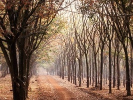 Long Khánh - 2 days