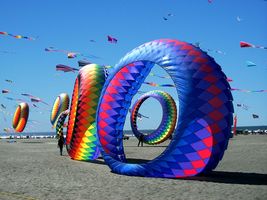 4 ngày đi Vũng Tàu từ Ninh Bình