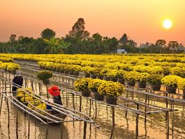 Đồng Tháp Photo 6