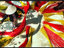 Đồng Tháp Photo 4