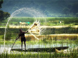 3 ngày đi Đồng Tháp từ Vũng Tàu