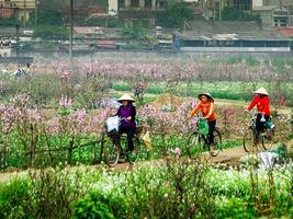 3 Ngày đi Bắc Giang từ Hà Nội